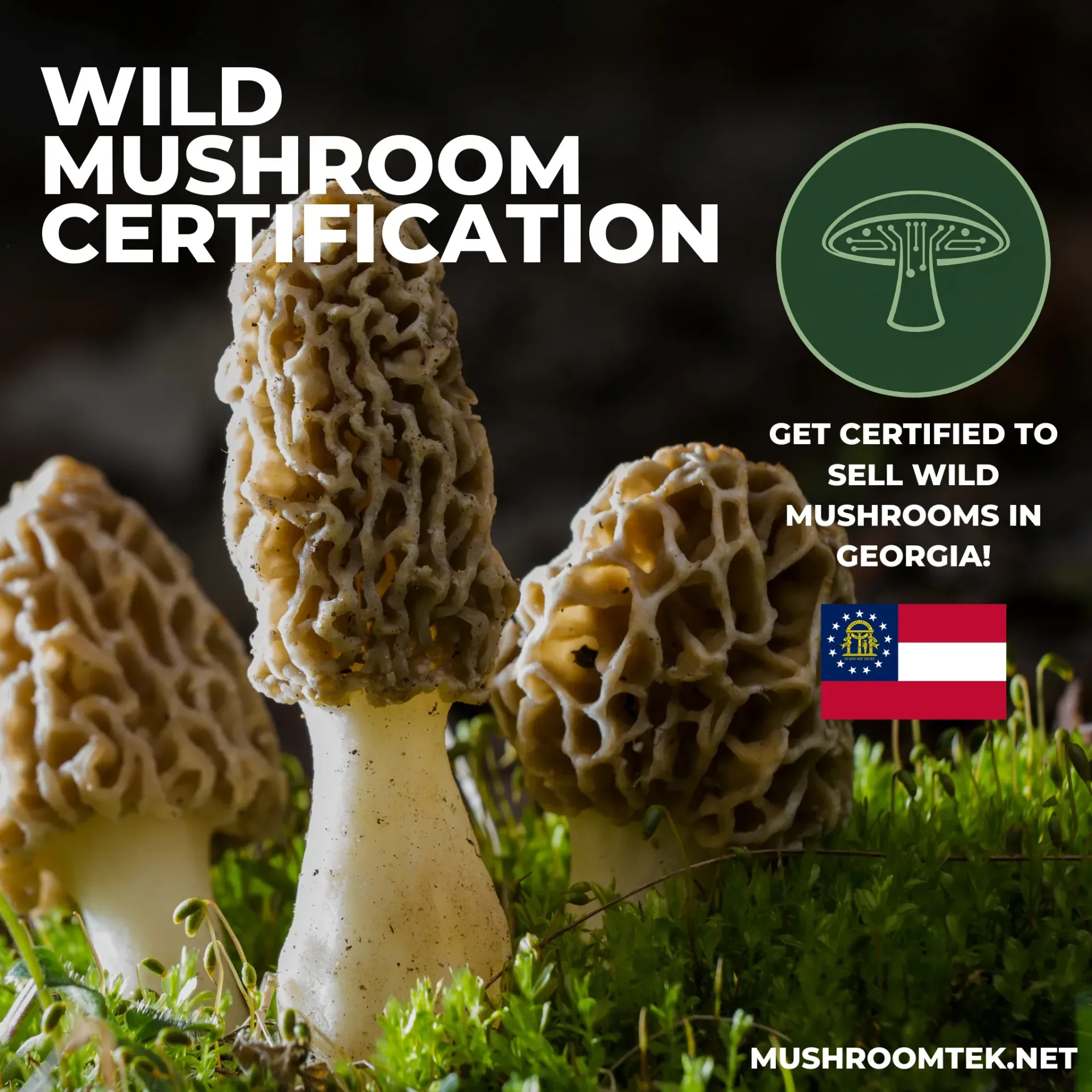 Georgia Wild Mushroom Food Safety Certification